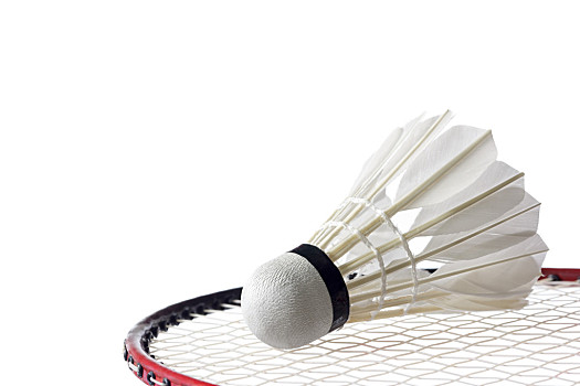 可以依赖他 可以依赖他