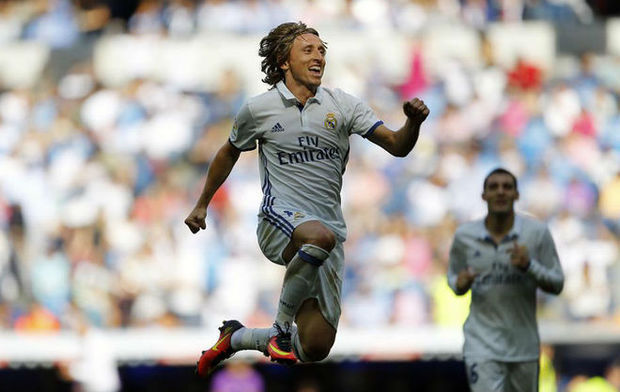 码虾稻米 码虾稻米